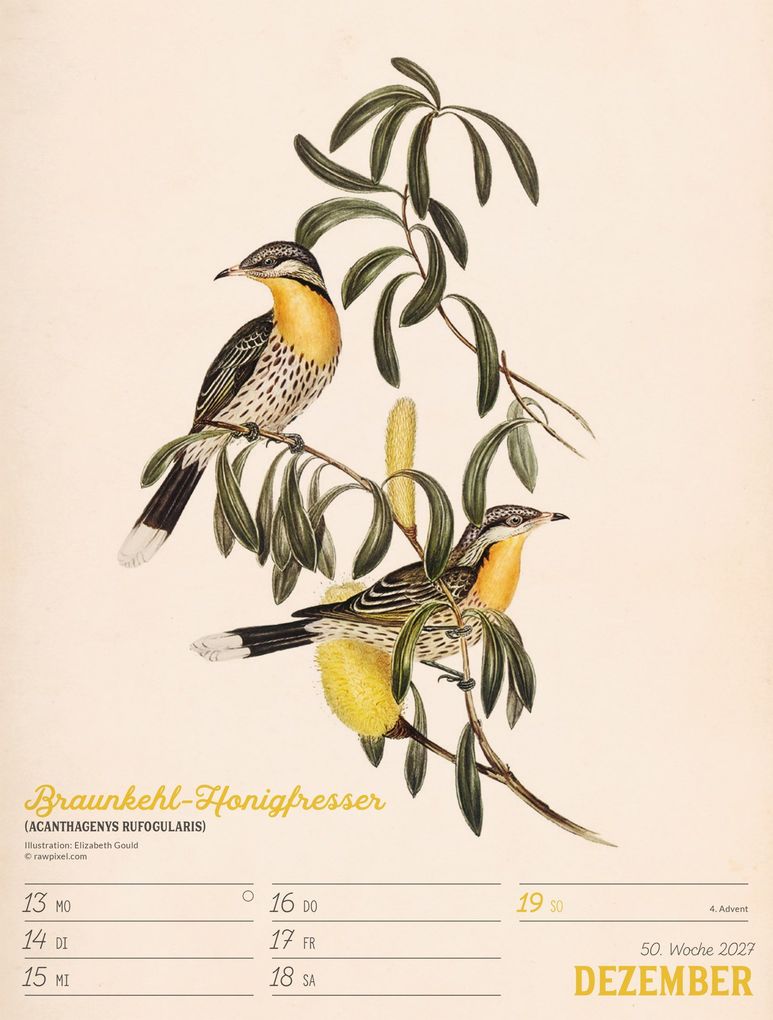 Weitere Ansicht: Wunderbare Vogelwelt Wochenplaner Kalender 2027 | Ackermann Kunstverlag GmbH