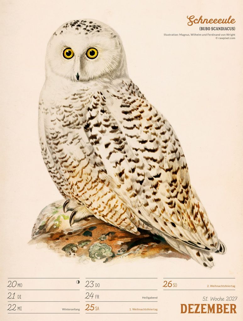 Weitere Ansicht: Wunderbare Vogelwelt Wochenplaner Kalender 2027 | Ackermann Kunstverlag GmbH