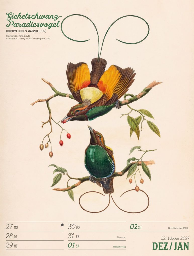 Weitere Ansicht: Wunderbare Vogelwelt Wochenplaner Kalender 2027 | Ackermann Kunstverlag GmbH