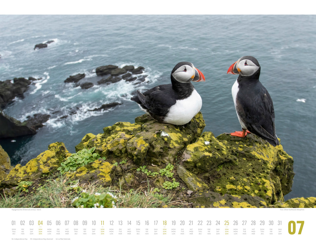 Weitere Ansicht: Tierwelt Skandinavien Kalender 2027 | Ackermann Kunstverlag GmbH