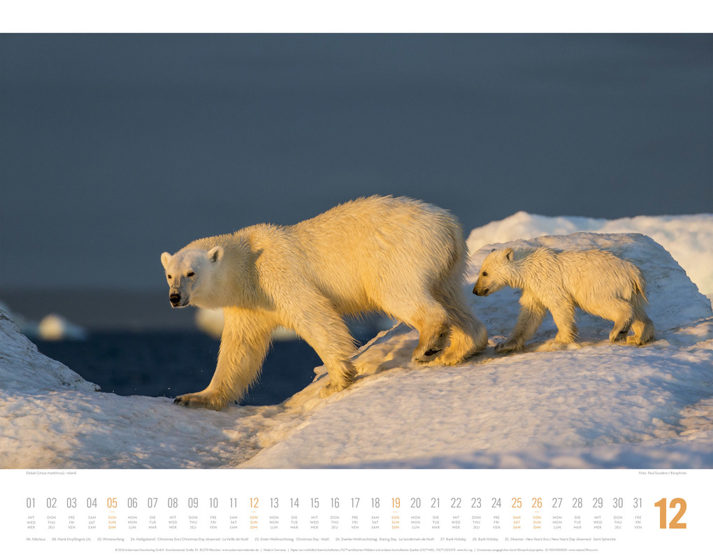 Weitere Ansicht: Tierwelt Skandinavien Kalender 2027 | Ackermann Kunstverlag GmbH