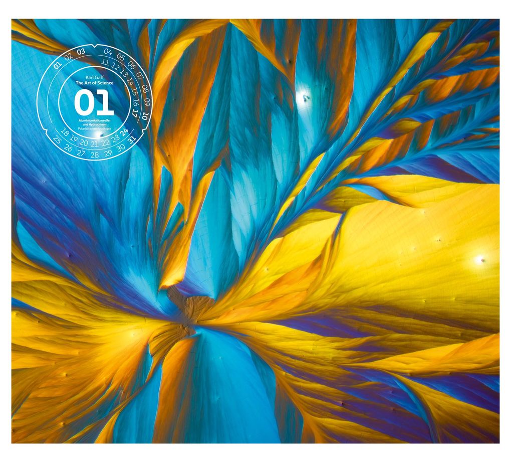 Weitere Ansicht: The Art of Science Kalender 2027 | Faszinierend-irisierende Mikroskopkunst | Ackermann Kunstverlag GmbH