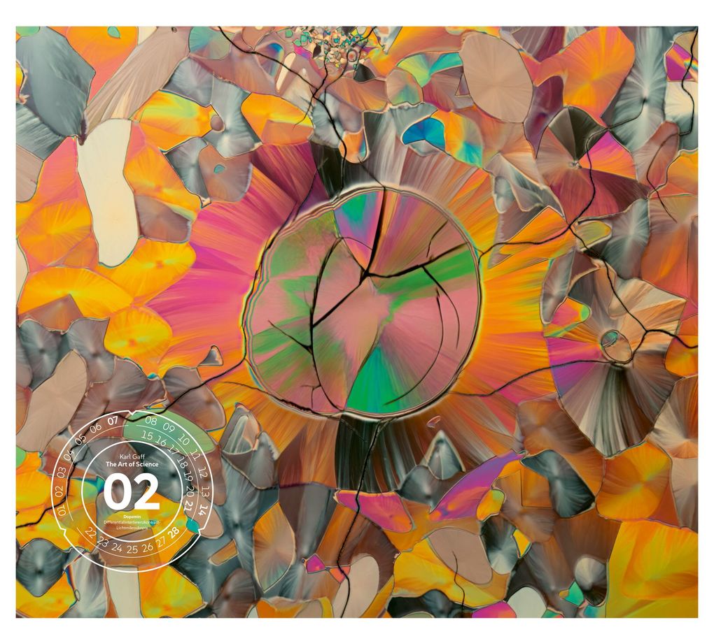Weitere Ansicht: The Art of Science Kalender 2027 | Faszinierend-irisierende Mikroskopkunst | Ackermann Kunstverlag GmbH