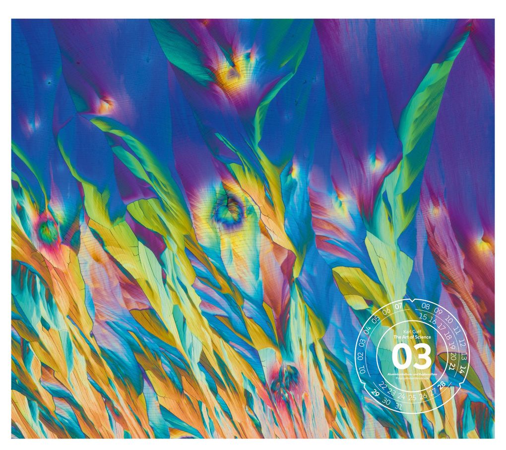 Weitere Ansicht: The Art of Science Kalender 2027 | Faszinierend-irisierende Mikroskopkunst | Ackermann Kunstverlag GmbH