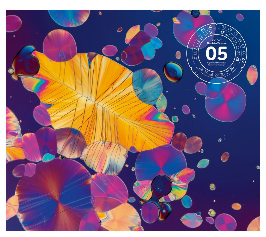 Weitere Ansicht: The Art of Science Kalender 2027 | Faszinierend-irisierende Mikroskopkunst | Ackermann Kunstverlag GmbH