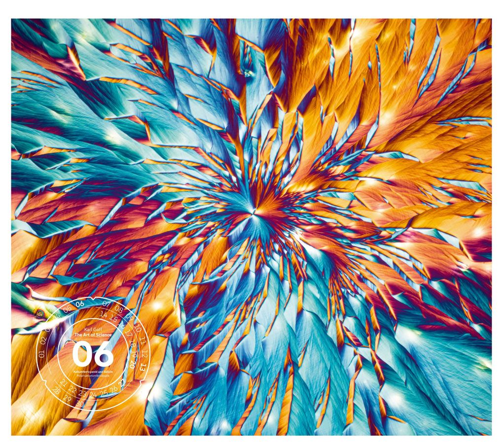 Weitere Ansicht: The Art of Science Kalender 2027 | Faszinierend-irisierende Mikroskopkunst | Ackermann Kunstverlag GmbH
