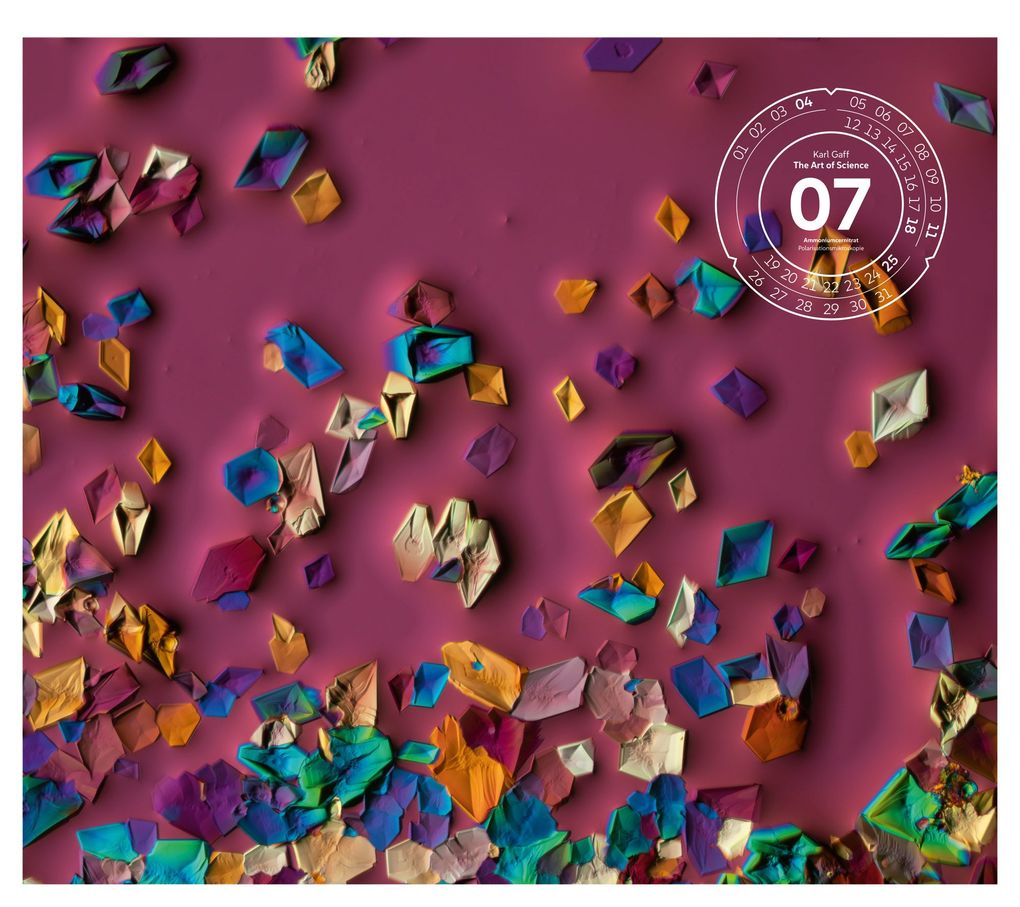 Weitere Ansicht: The Art of Science Kalender 2027 | Faszinierend-irisierende Mikroskopkunst | Ackermann Kunstverlag GmbH