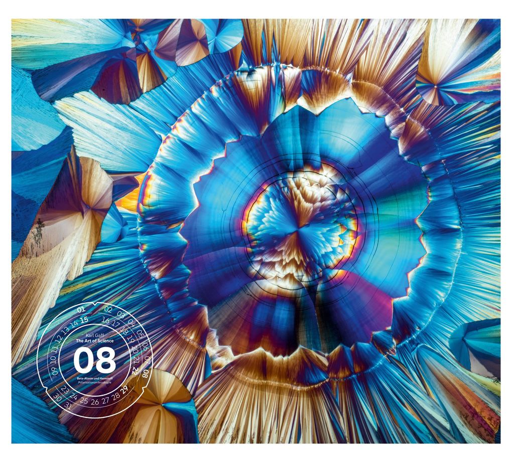 Weitere Ansicht: The Art of Science Kalender 2027 | Faszinierend-irisierende Mikroskopkunst | Ackermann Kunstverlag GmbH