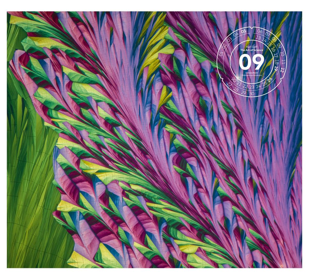 Weitere Ansicht: The Art of Science Kalender 2027 | Faszinierend-irisierende Mikroskopkunst | Ackermann Kunstverlag GmbH