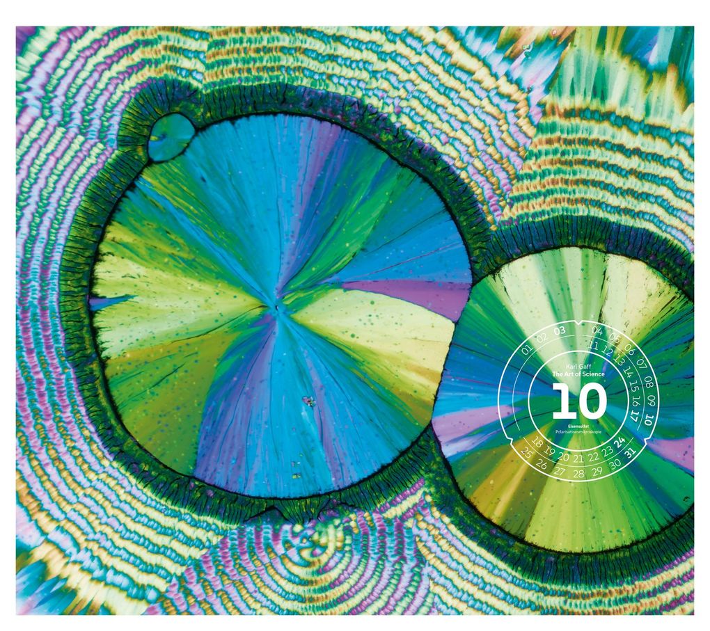 Weitere Ansicht: The Art of Science Kalender 2027 | Faszinierend-irisierende Mikroskopkunst | Ackermann Kunstverlag GmbH