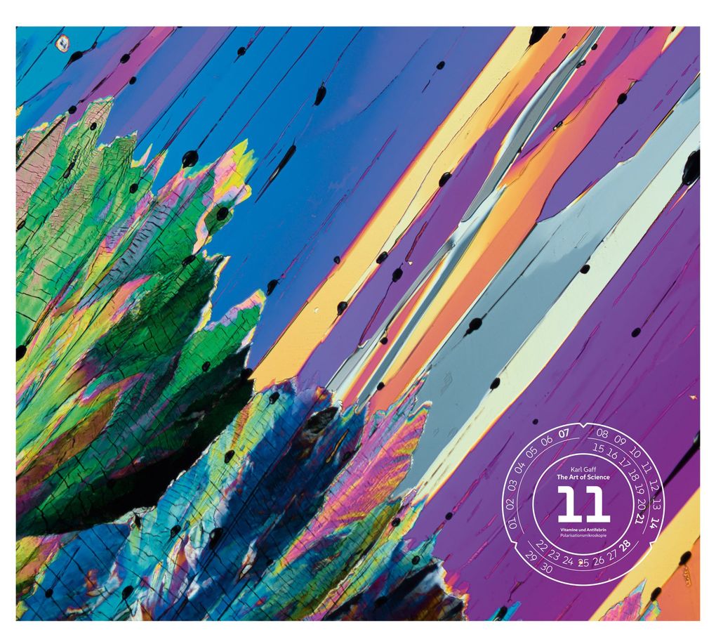 Weitere Ansicht: The Art of Science Kalender 2027 | Faszinierend-irisierende Mikroskopkunst | Ackermann Kunstverlag GmbH