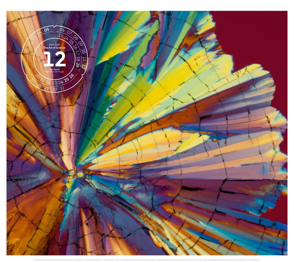 Weitere Ansicht: The Art of Science Kalender 2027 | Faszinierend-irisierende Mikroskopkunst | Ackermann Kunstverlag GmbH