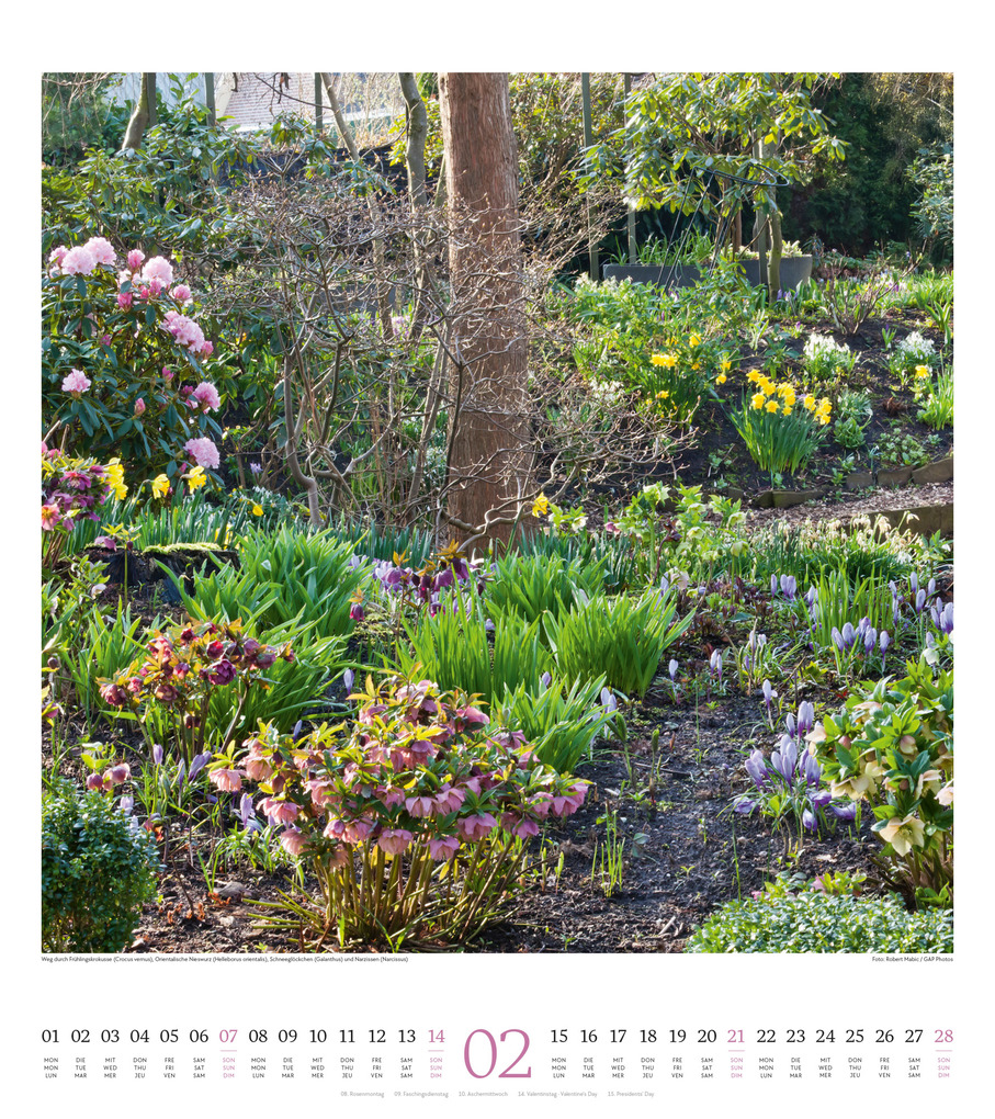 Weitere Ansicht: Paradiesische Gärten Kalender 2027 | Ackermann Kunstverlag GmbH