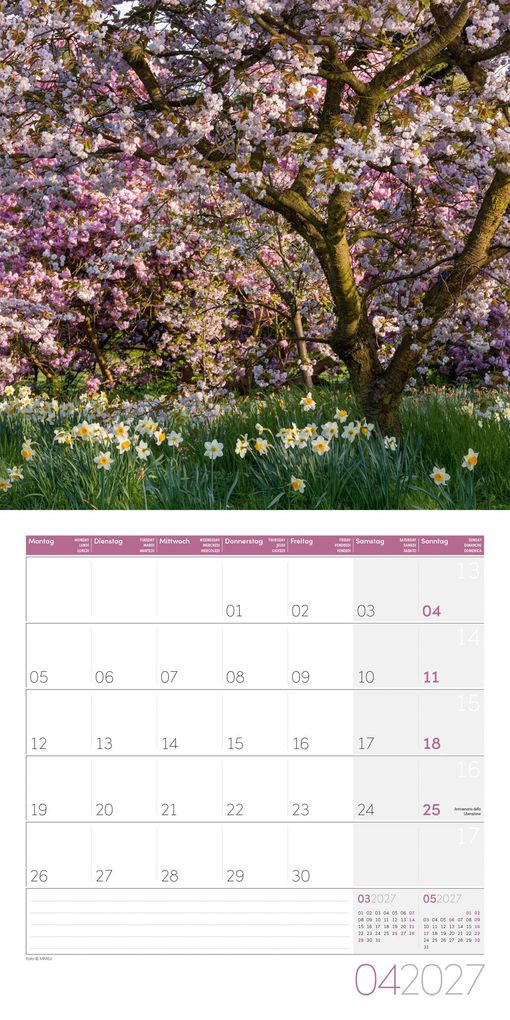 Weitere Ansicht: In meinem Garten Kalender 2027 - 30x30 - Art12 | Ackermann Kunstverlag GmbH