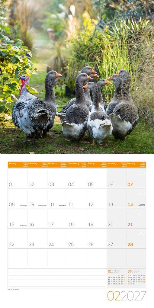 Weitere Ansicht: Landleben Kalender 2027 - 30x30 - Art12 | Ackermann Kunstverlag GmbH