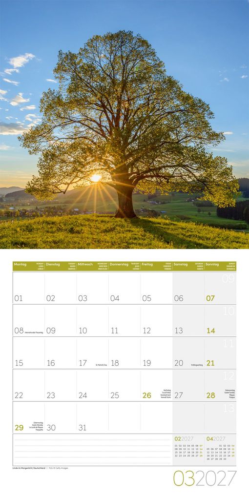 Weitere Ansicht: Magie des Lichts Kalender 2027 - 30x30 - Art12 | Ackermann Kunstverlag GmbH