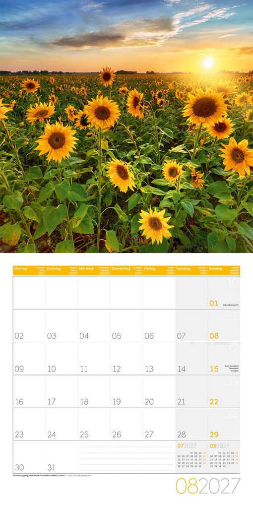 Weitere Ansicht: Magie des Lichts Kalender 2027 - 30x30 - Art12 | Ackermann Kunstverlag GmbH