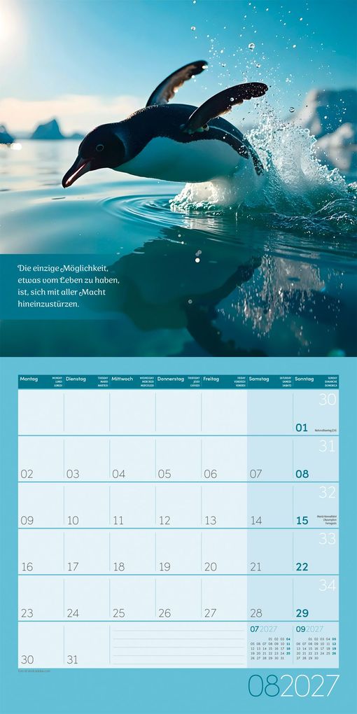 Weitere Ansicht: Alles wird gut Kalender 2027 - 30x30 - Art12 | Ackermann Kunstverlag GmbH