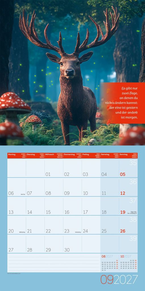 Weitere Ansicht: Alles wird gut Kalender 2027 - 30x30 - Art12 | Ackermann Kunstverlag GmbH