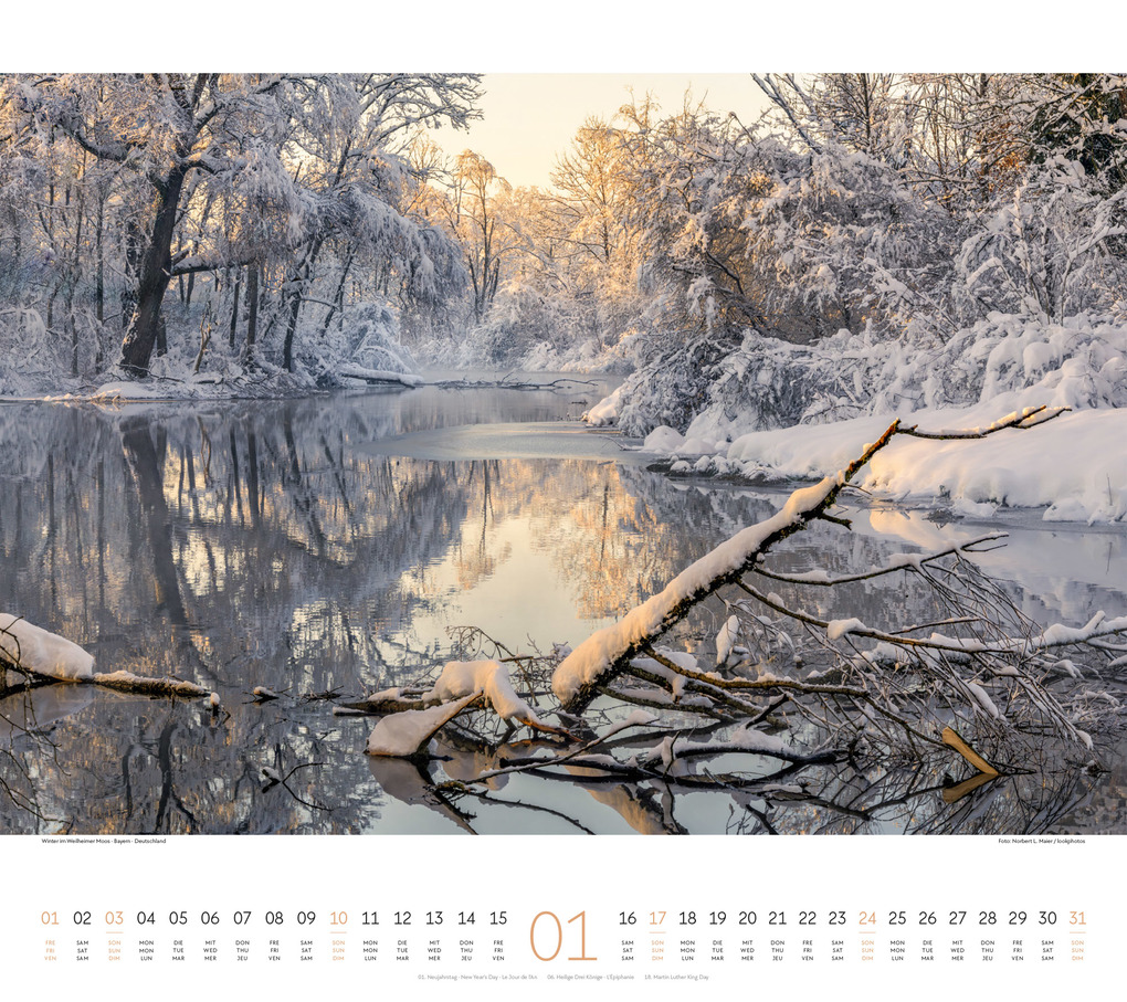 Weitere Ansicht: Wald Kalender 2027 | Ackermann Kunstverlag GmbH