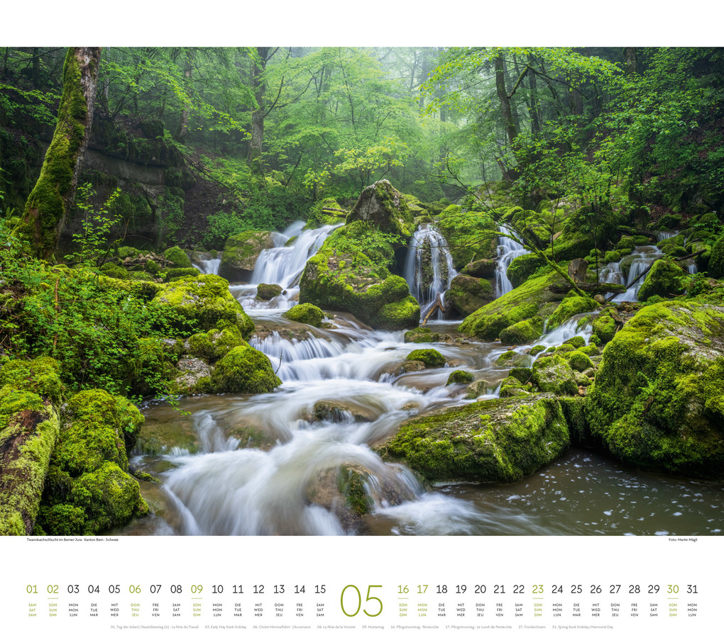 Weitere Ansicht: Wald Kalender 2027 | Ackermann Kunstverlag GmbH