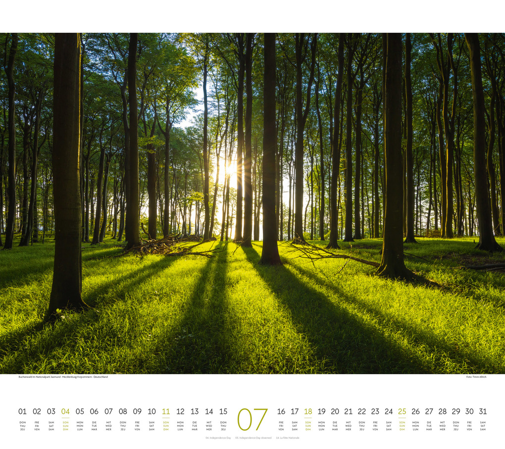 Weitere Ansicht: Wald Kalender 2027 | Ackermann Kunstverlag GmbH