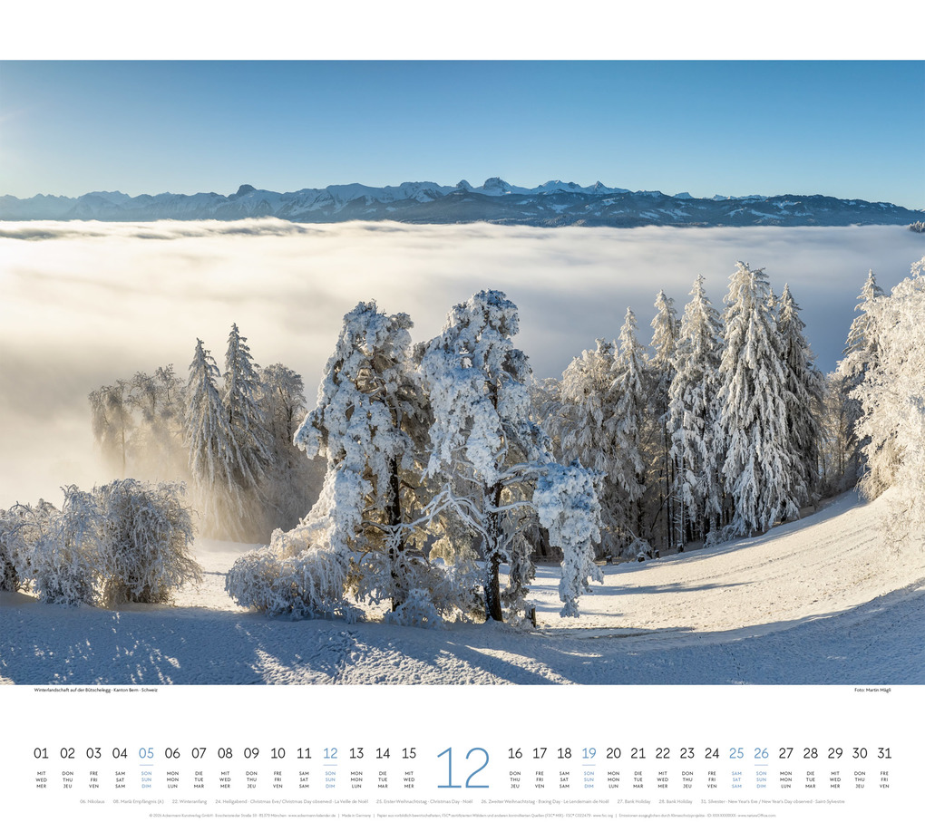 Weitere Ansicht: Wald Kalender 2027 | Ackermann Kunstverlag GmbH