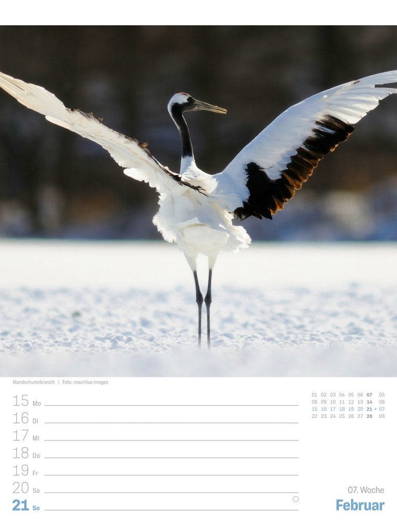 Weitere Ansicht: Japan Wochenplaner Kalender 2027 | Das Land der aufgehenden Sonne | Ackermann Kunstverlag GmbH