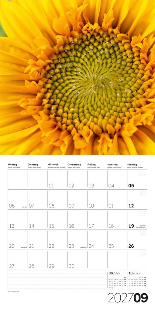 Weitere Ansicht: Die Farbe Gelb Kalender 2027 - 30x30 - Art12 | Ackermann Kunstverlag GmbH