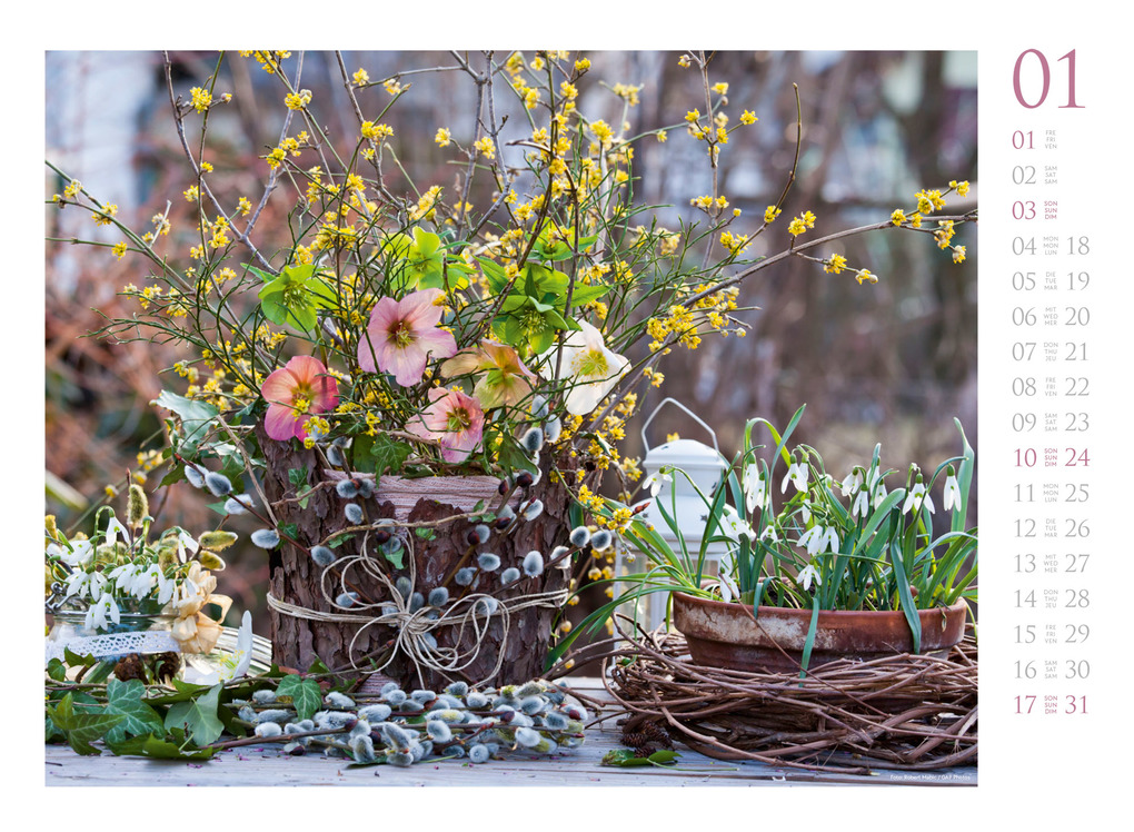 Weitere Ansicht: Blumenzauber Kalender 2027 | Ackermann Kunstverlag GmbH