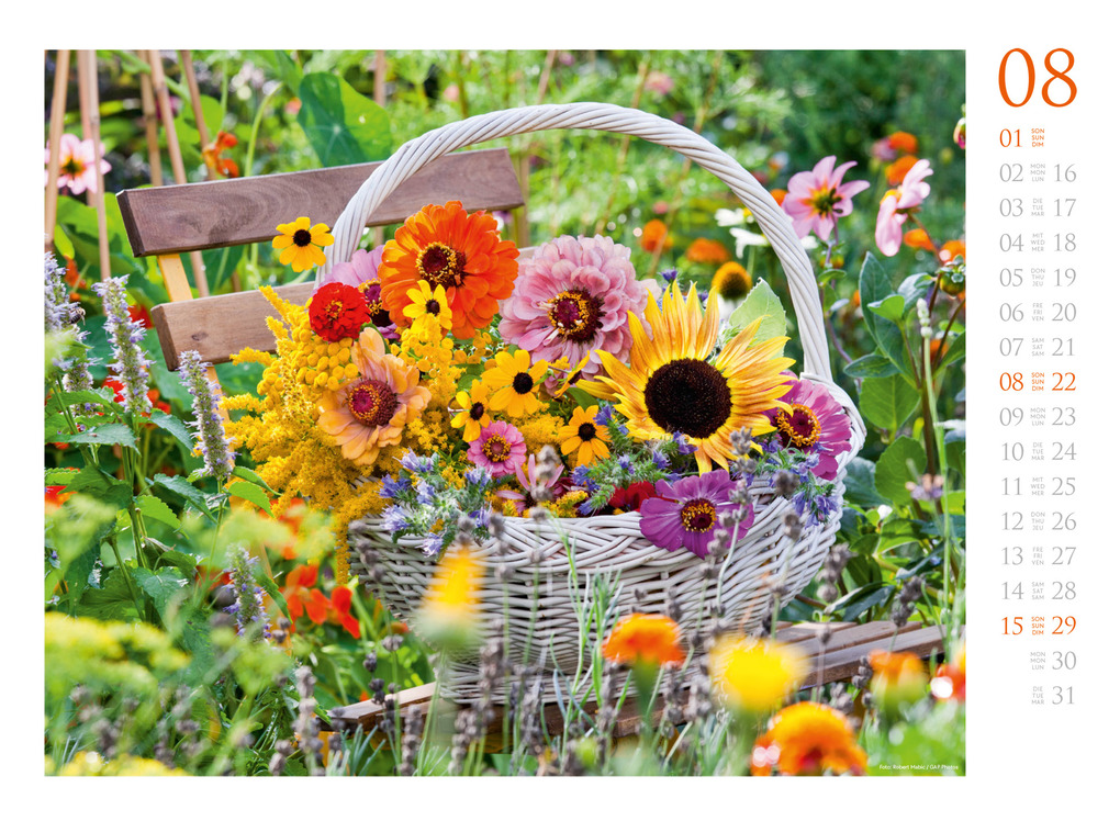 Weitere Ansicht: Blumenzauber Kalender 2027 | Ackermann Kunstverlag GmbH
