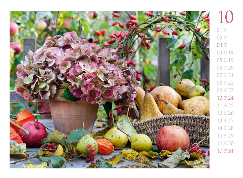 Weitere Ansicht: Blumenzauber Kalender 2027 | Ackermann Kunstverlag GmbH