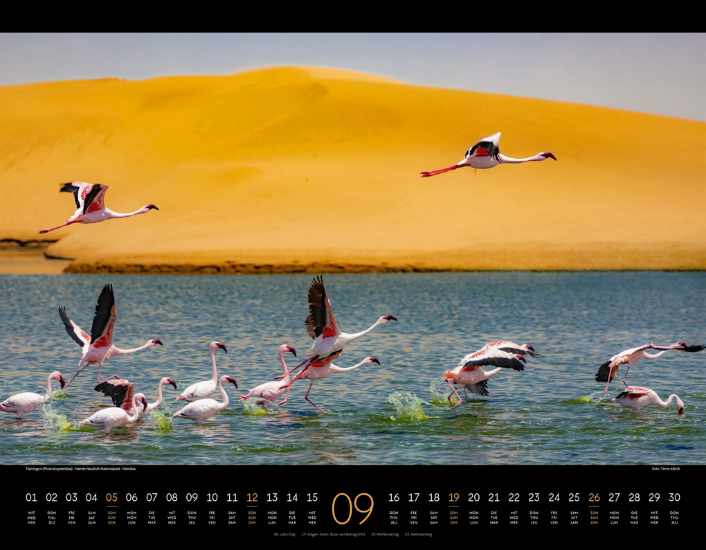 Weitere Ansicht: Wildes Afrika Kalender 2027 | Ackermann Kunstverlag GmbH
