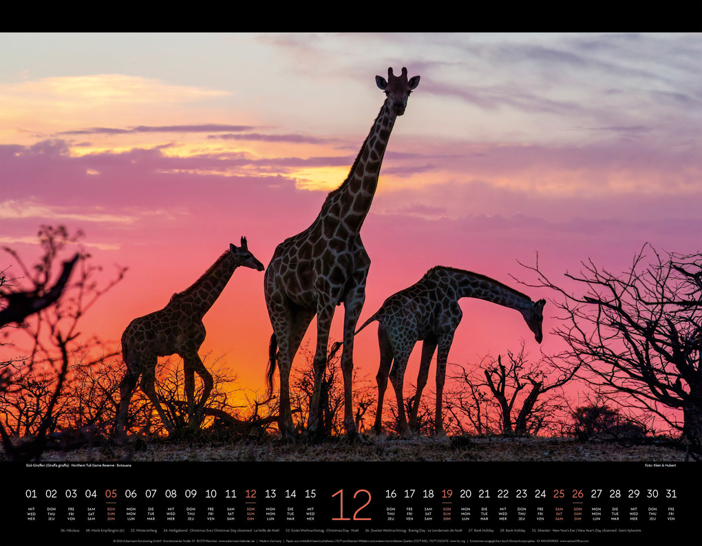 Weitere Ansicht: Wildes Afrika Kalender 2027 | Ackermann Kunstverlag GmbH