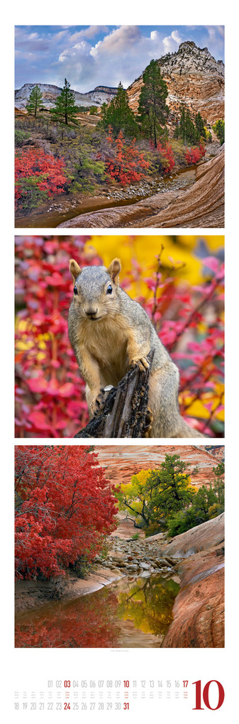 Weitere Ansicht: Nature Triplet-Kalender 2027 | Ackermann Kunstverlag GmbH