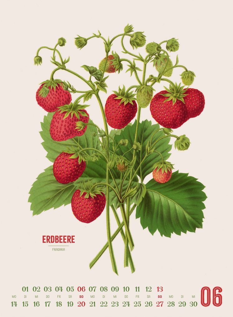 Weitere Ansicht: Obstgarten Kalender 2027 | Apfel, Birne, Pflaume & Co. | Abraham Jacobus Wendel, Ackermann Kunstverlag GmbH