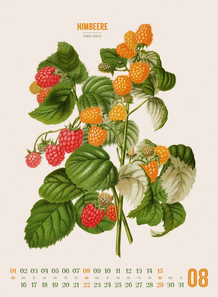 Weitere Ansicht: Obstgarten Kalender 2027 | Apfel, Birne, Pflaume & Co. | Abraham Jacobus Wendel, Ackermann Kunstverlag GmbH