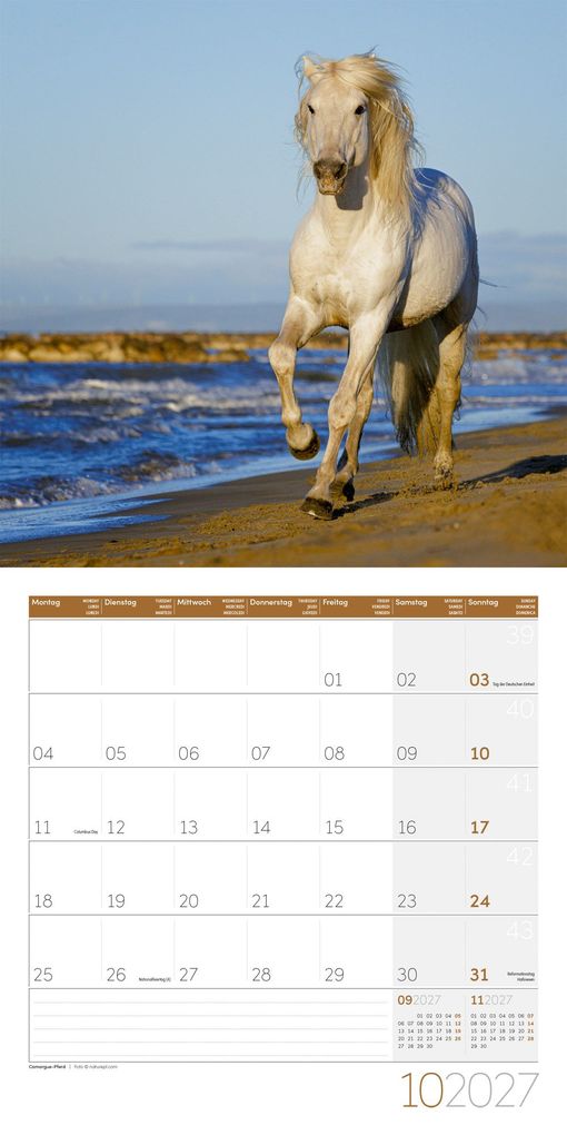 Weitere Ansicht: Pferde Kalender 2027 - 30x30 - Art12 | Ackermann Kunstverlag GmbH