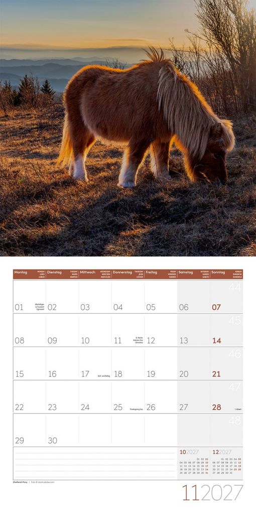 Weitere Ansicht: Pferde Kalender 2027 - 30x30 - Art12 | Ackermann Kunstverlag GmbH