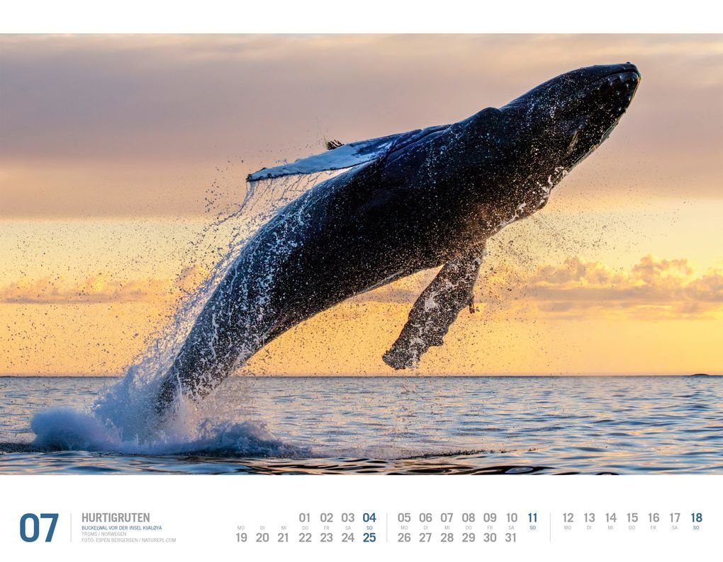 Weitere Ansicht: Hurtigruten Kalender 2027 | Unterwegs zwischen Bergen und Kirkenes | Ackermann Kunstverlag GmbH