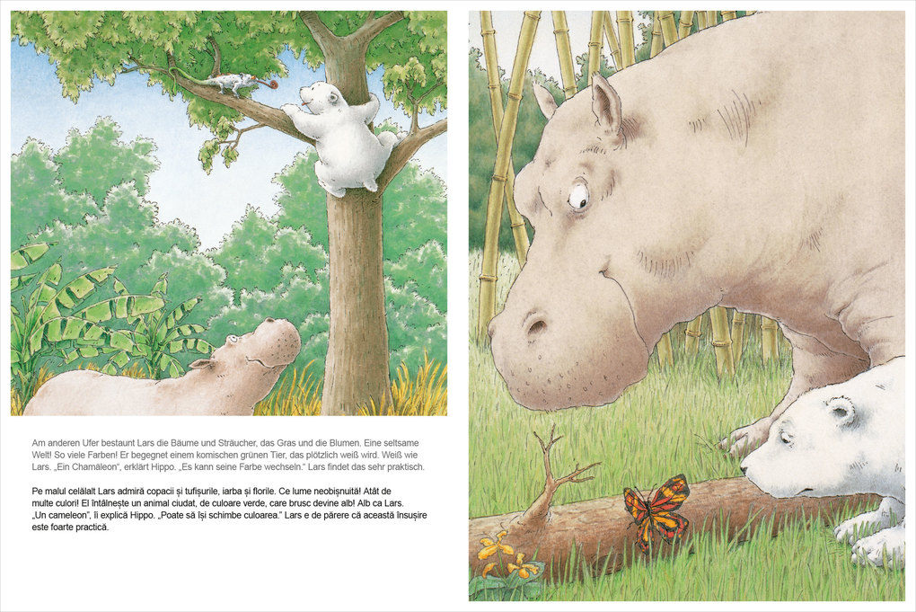 Weitere Ansicht: Kleiner Eisbär - Wohin fährst du, Lars? (Deutsch-Rumänisch) | Hans de Beer