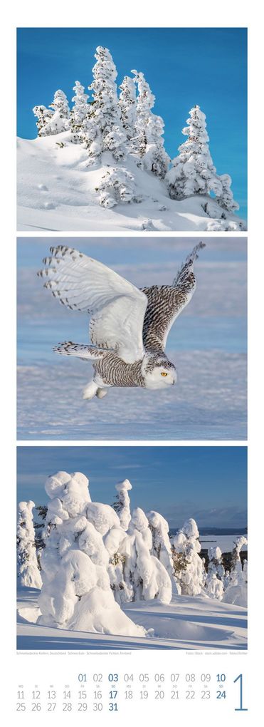 Weitere Ansicht: Waldleben Triplet-Kalender 2027 | Spaziergang durch heimische Wälder | Ackermann Kunstverlag GmbH