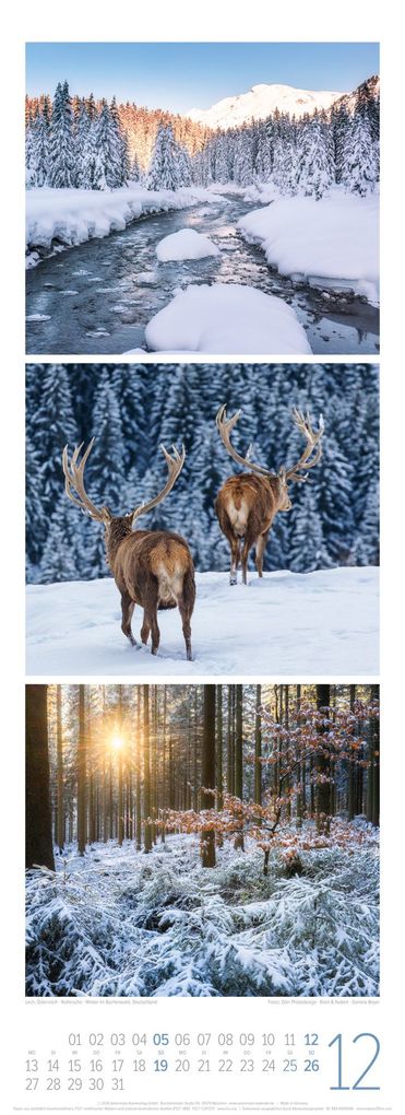Weitere Ansicht: Waldleben Triplet-Kalender 2027 | Spaziergang durch heimische Wälder | Ackermann Kunstverlag GmbH