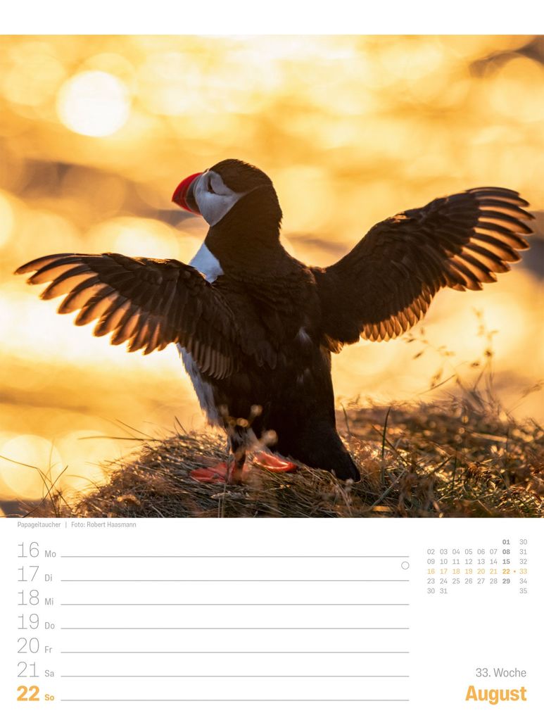 Weitere Ansicht: Island Wochenplaner Kalender 2027 | Die Insel aus Feuer und Eis | Ackermann Kunstverlag GmbH