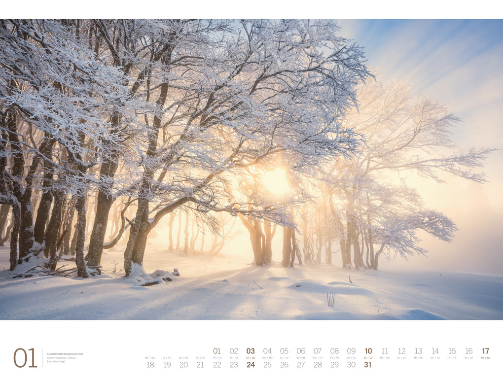 Weitere Ansicht: Wald Gallery Kalender 2027 | Ackermann Kunstverlag GmbH