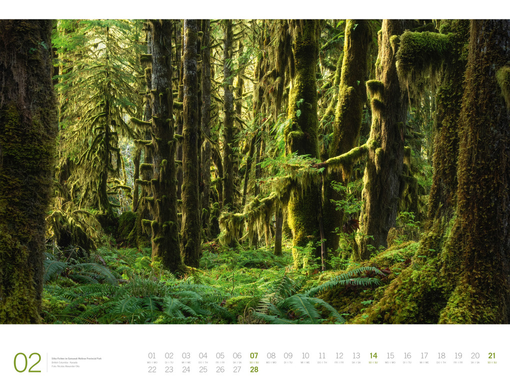 Weitere Ansicht: Wald Gallery Kalender 2027 | Ackermann Kunstverlag GmbH