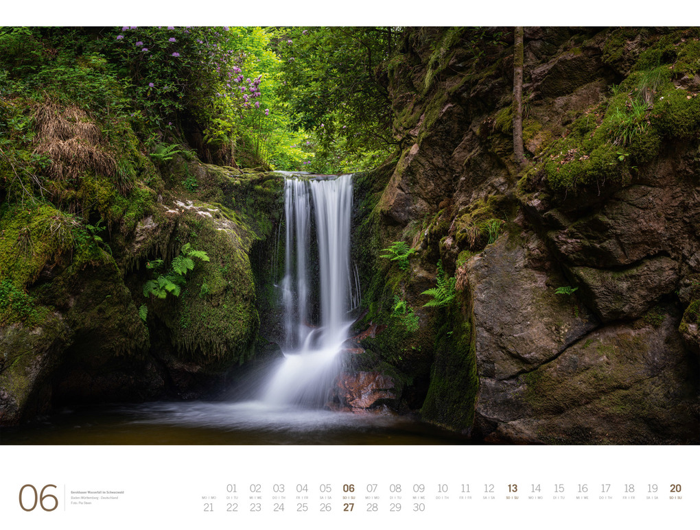 Weitere Ansicht: Wald Gallery Kalender 2027 | Ackermann Kunstverlag GmbH