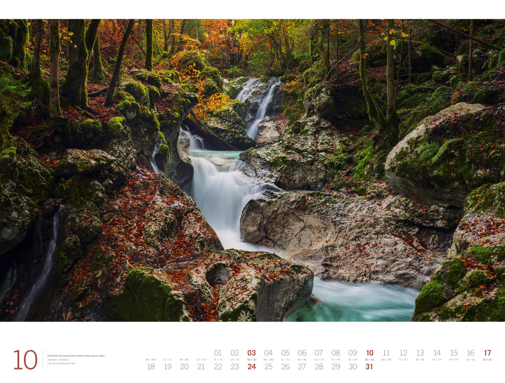 Weitere Ansicht: Wald Gallery Kalender 2027 | Ackermann Kunstverlag GmbH