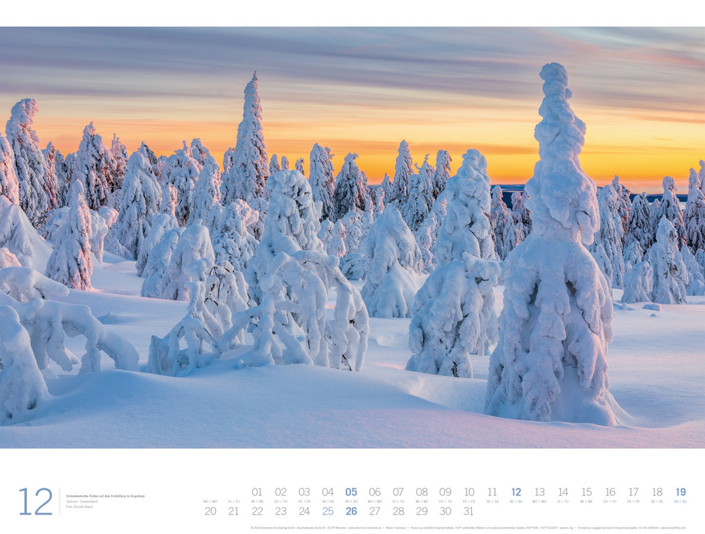Weitere Ansicht: Wald Gallery Kalender 2027 | Ackermann Kunstverlag GmbH