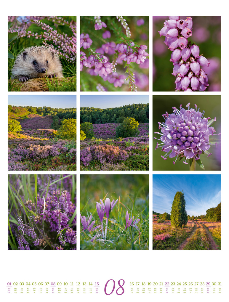 Weitere Ansicht: Inspiration Natur Kalender 2027 | Ackermann Kunstverlag GmbH